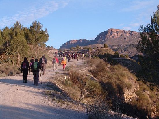 15 de enero - Rambla de La Torrecilla (Lorca) - 5